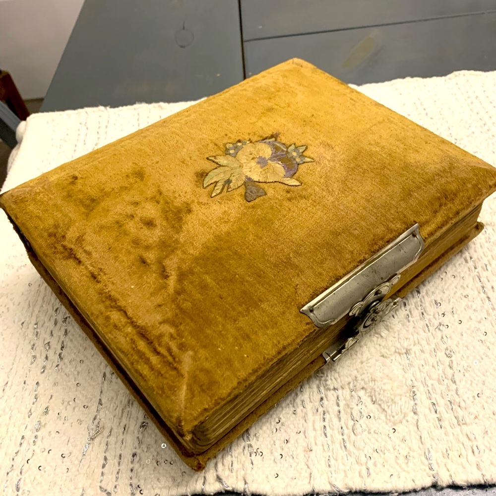 Victorian Velvet - Cabinet card & Tin Type Photo Album!